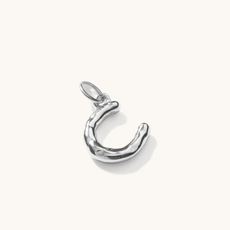 Horseshoe Pendant Silver